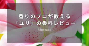 【ユリ】香りのプロが教える「ユリ」の香料レビュー【徹底解説】