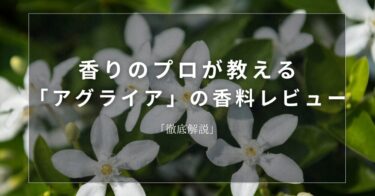 【ジャスミン】香りのプロが教える「ジャスミン」の香料レビュー【徹底解説】