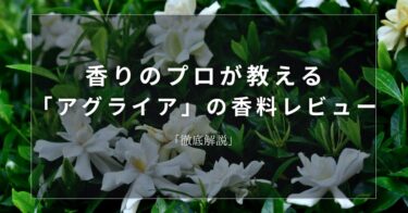 【ガーデニア】香りのプロが教える「ガーデニア」の香料レビュー【徹底解説】