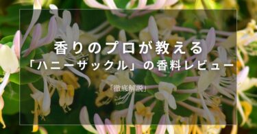 【ハニーサックル】香りのプロが教える「ハニーサックル」の香料レビュー【徹底解説】