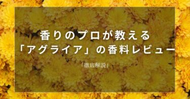 【キク】香りのプロが教える「キク」の香料レビュー【徹底解説】