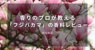 【マグノリア】香りのプロが教える「マグノリア」の香料レビュー【徹底解説】