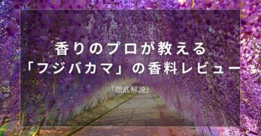 【ウィステリア】香りのプロが教える「ウィステリア」の香料レビュー【徹底解説】