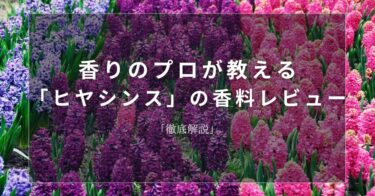 【ヒヤシンス】香りのプロが教える「ヒヤシンス」の香料レビュー【徹底解説】