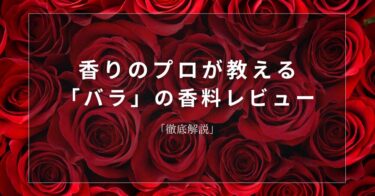 【バラ】香りのプロが教える「バラ」の香料レビュー【徹底解説】