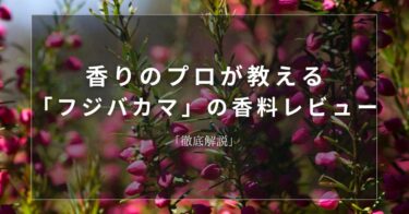 【ホロニア】香りのプロが教える「ホロニア」の香料レビュー【徹底解説】