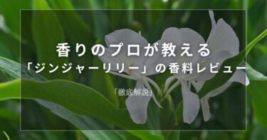 【ジンジャーリリー】香りのプロが教える「ジンジャーリリー」の香料レビュー【徹底解説】