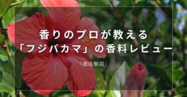 【ハイビスカス】香りのプロが教える「ハイビスカス」の香料レビュー【徹底解説】