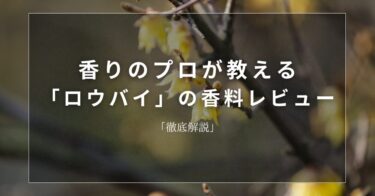 【ロウバイ】香りのプロが教える「ロウバイ」の香料レビュー【徹底解説】