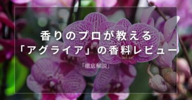 【オーキッド】香りのプロが教える「オーキッド」の香料レビュー【徹底解説】