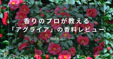 【カメリア】香りのプロが教える「カメリア」の香料レビュー【徹底解説】