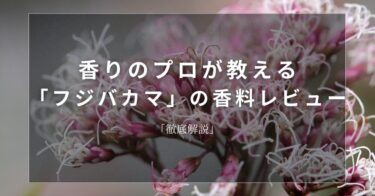 【フジバカマ】香りのプロが教える「フジバカマ」の香料レビュー【徹底解説】