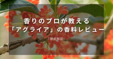 【オスモンサス】香りのプロが教える「オスモンサス」の香料レビュー【徹底解説】