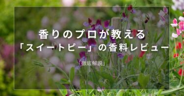 【スイートピー】香りのプロが教える「スイートピー」の香料レビュー【徹底解説】