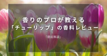 【チューリップ】香りのプロが教える「チューリップ」の香料レビュー【徹底解説】