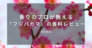 【プラムブロッサム】香りのプロが教える「プラムブロッサム」の香料レビュー【徹底解説】