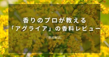 【カッシー】香りのプロが教える「カッシー」の香料レビュー【徹底解説】