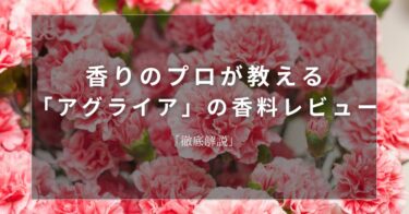 【カーネーション】香りのプロが教える「カーネーション」の香料レビュー【徹底解説】