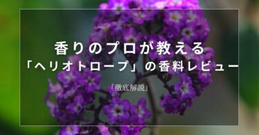 【ヘリオトロープ】香りのプロが教える「ヘリオトロープ」の香料レビュー【徹底解説】