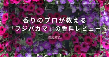 【ペチュニア】香りのプロが教える「ペチュニア」の香料レビュー【徹底解説】