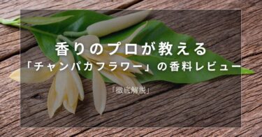 【チャンパカフラワー】香りのプロが教える「チャンパカフラワー」の香料レビュー【徹底解説】